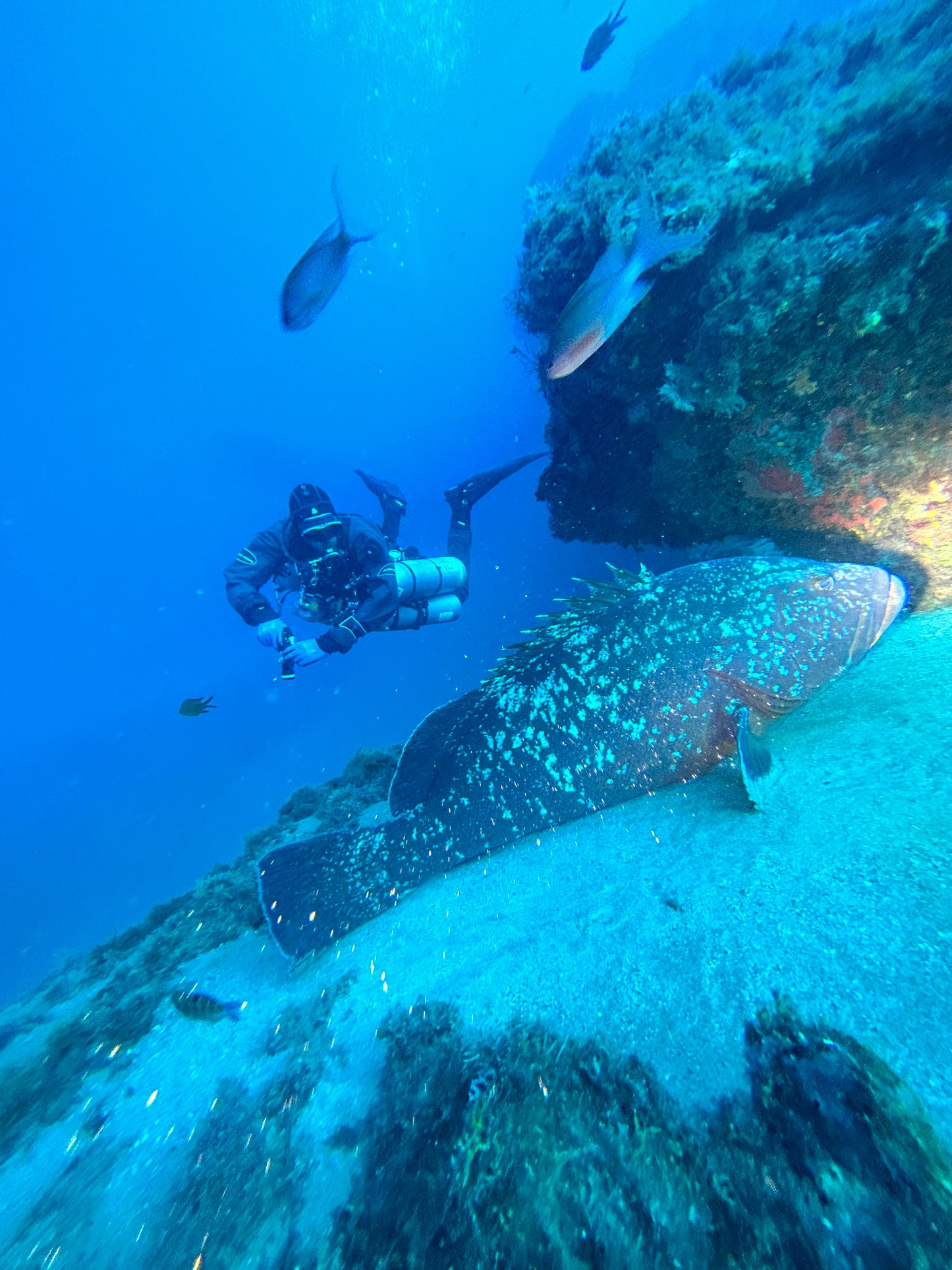 2nd - 7th April 2026 Malta Tech week