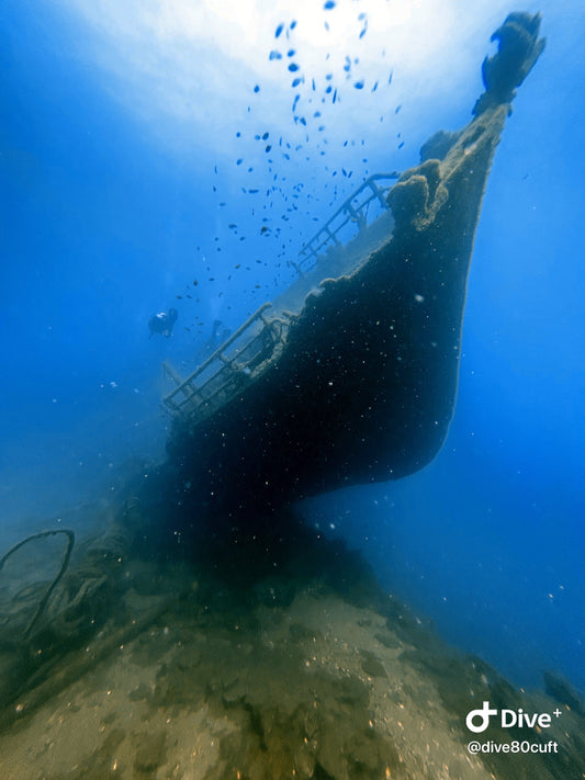 PADI Wreck Speciality