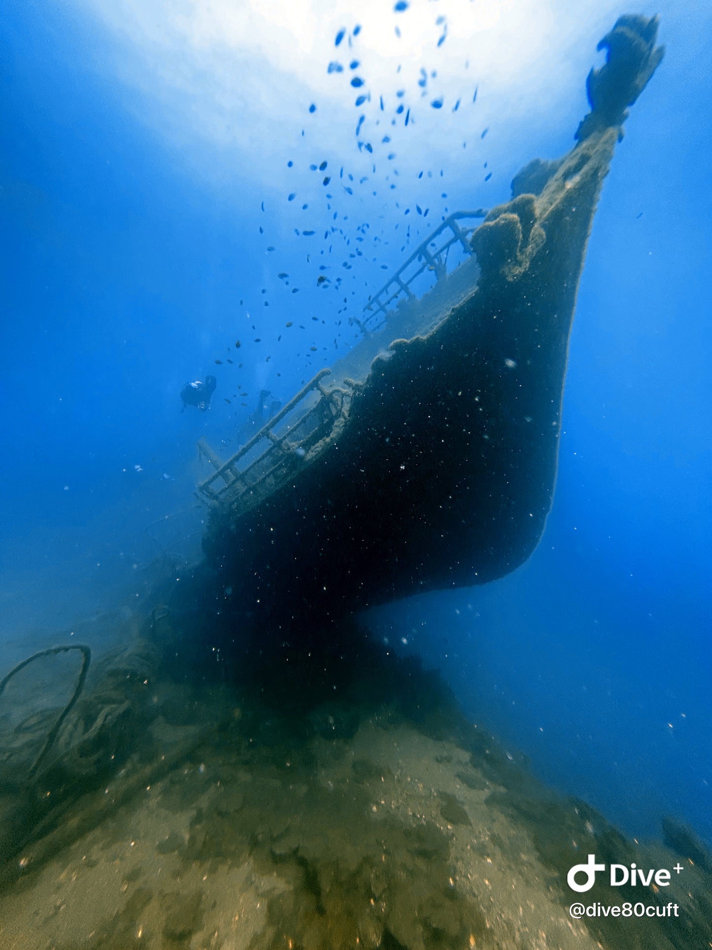 PADI Wreck Speciality